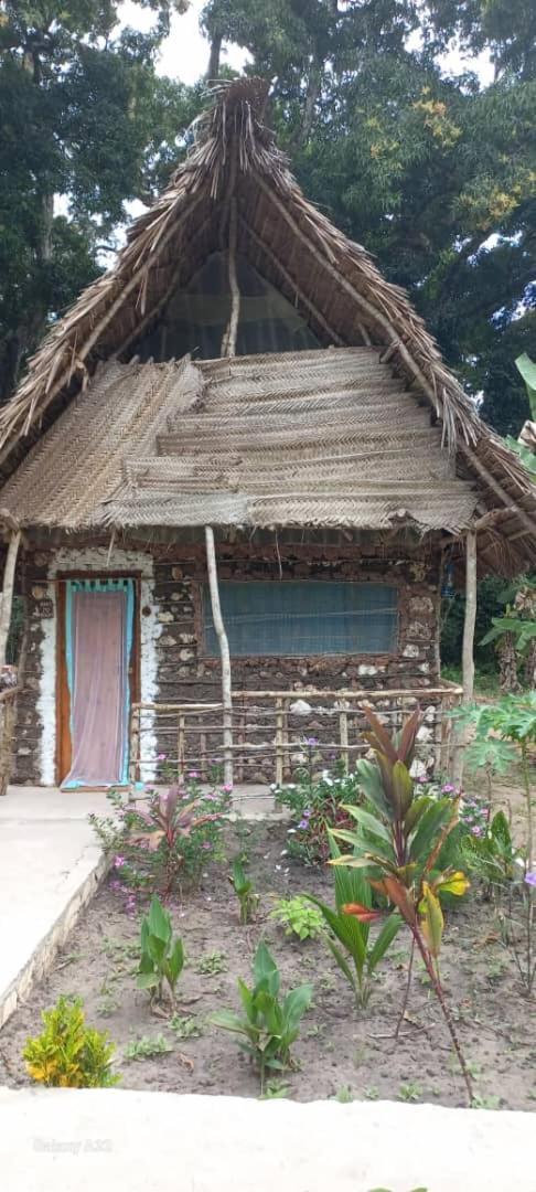 Farm stay Kv Jungle Zanzibar